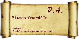 Pitsch András névjegykártya